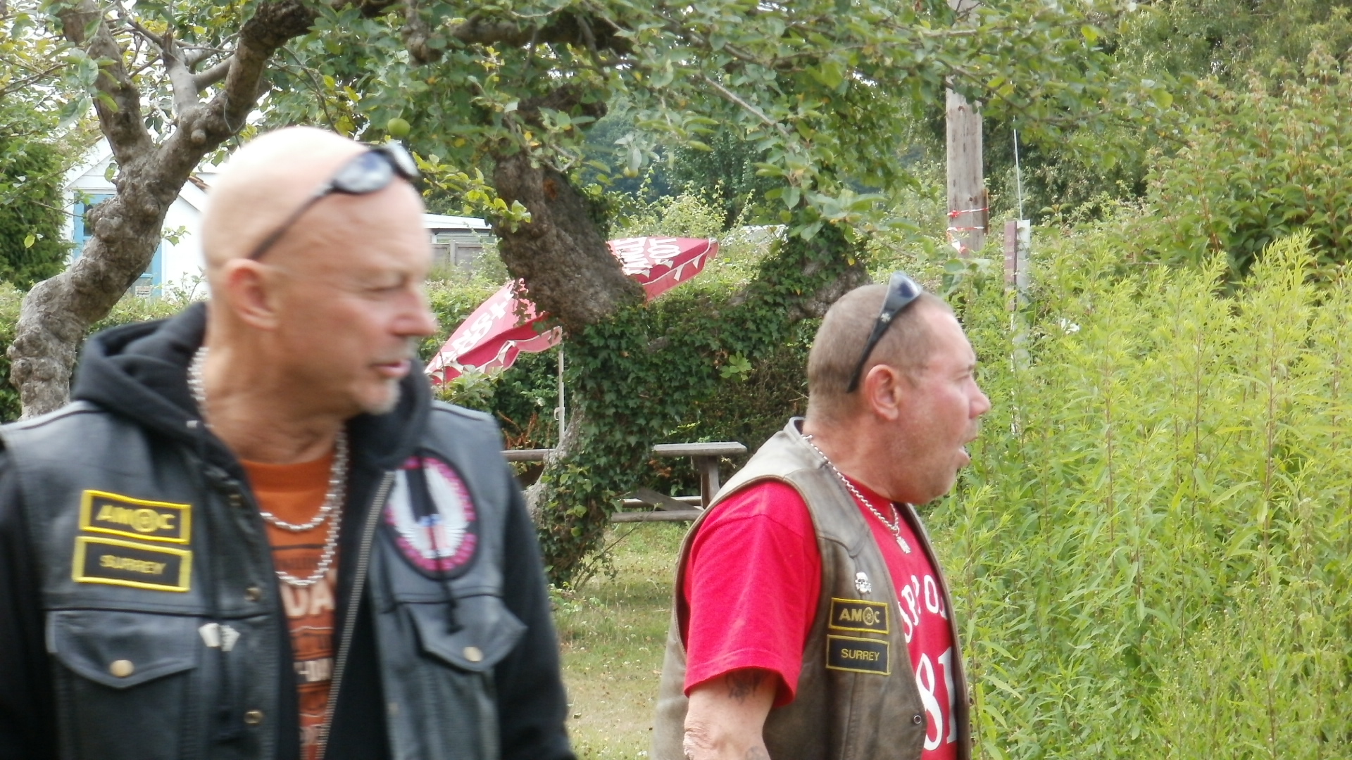 AMOC 2010 Birthday Bash