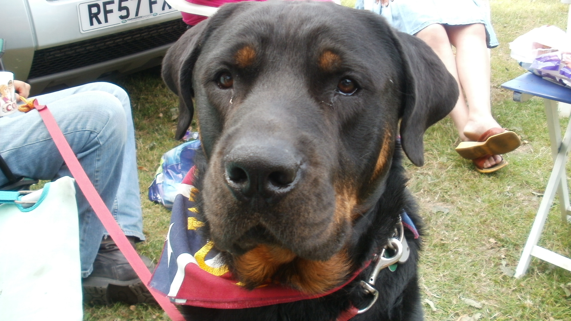 AMOC 2010 Birthday Bash