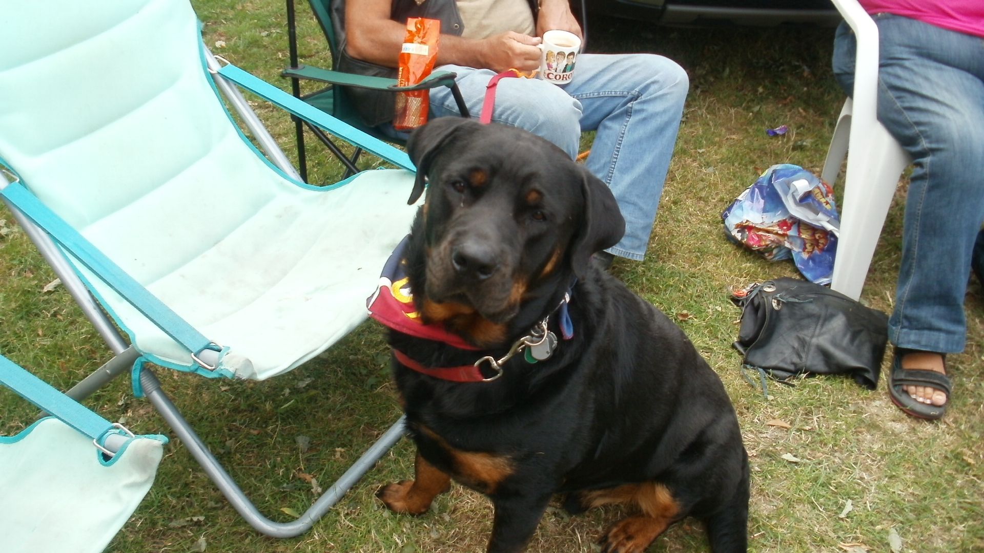 AMOC 2010 Birthday Bash