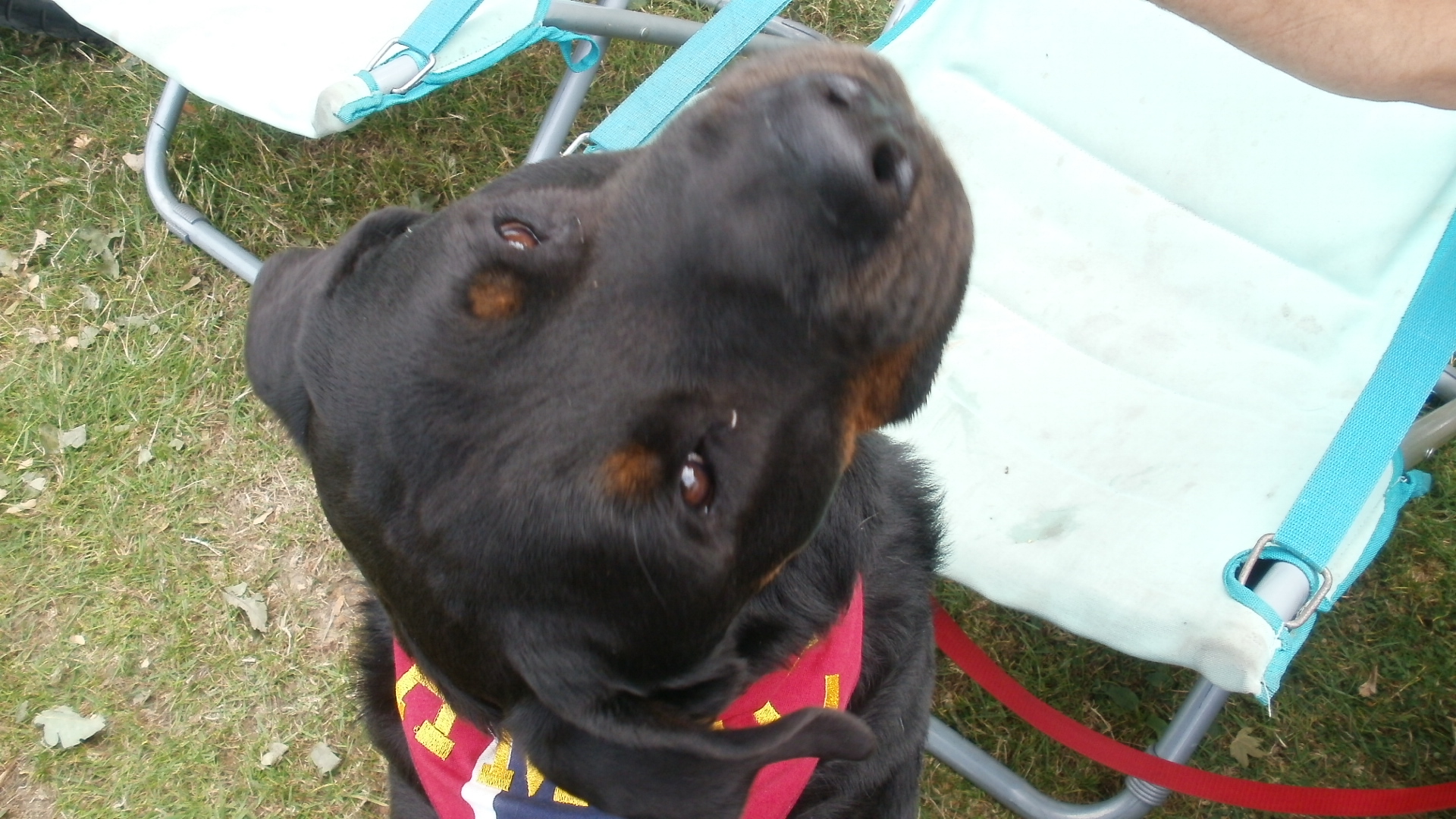 AMOC 2010 Birthday Bash